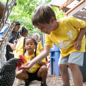 boy feeding chicken